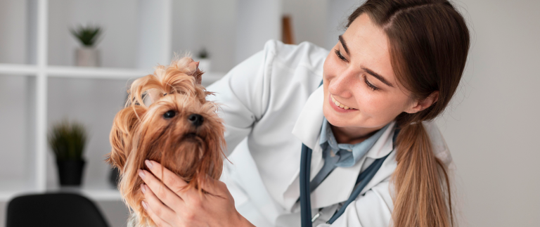Tips for making your pet happy when moving