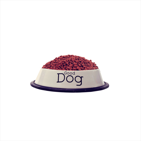Healthy Bites for Dogs