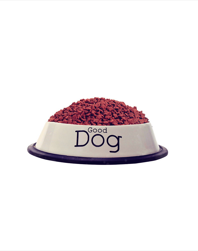Healthy Bites for Dogs