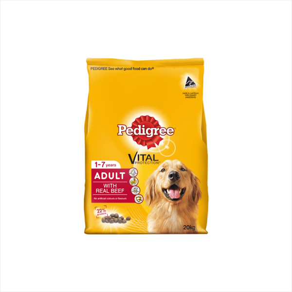 Nutritious Dog Meals