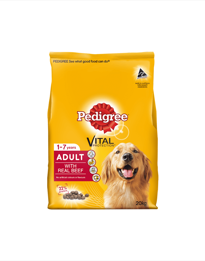 Nutritious Dog Meals