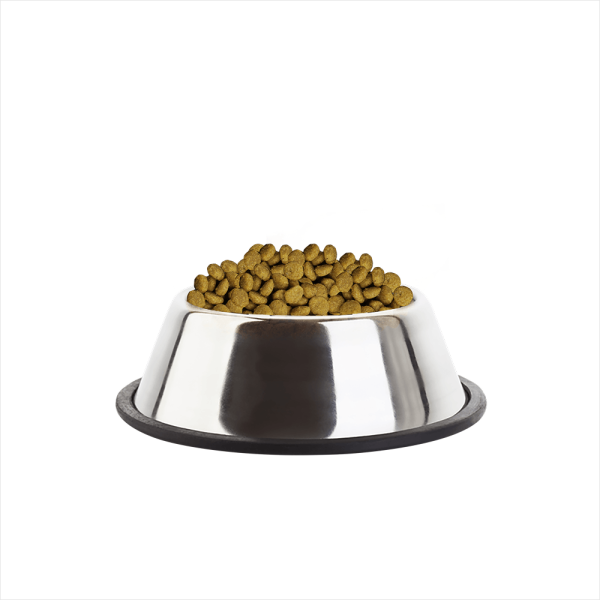 Cute Pet Accessories