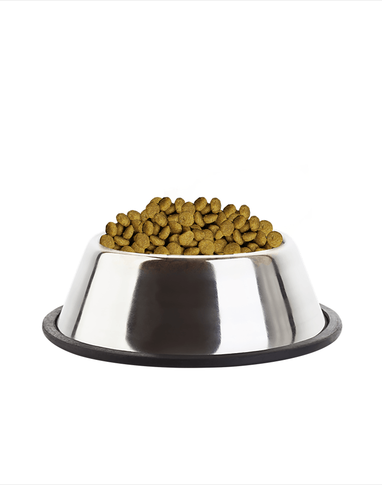 Cute Pet Accessories