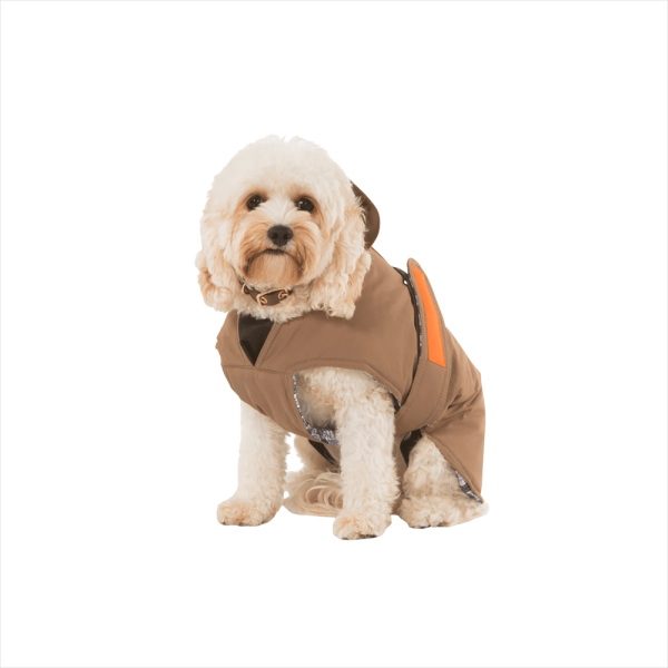 Stylish Paws Wear