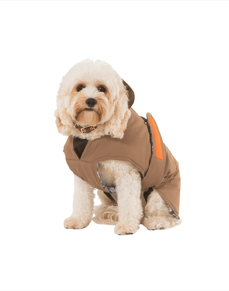 Stylish Paws Wear