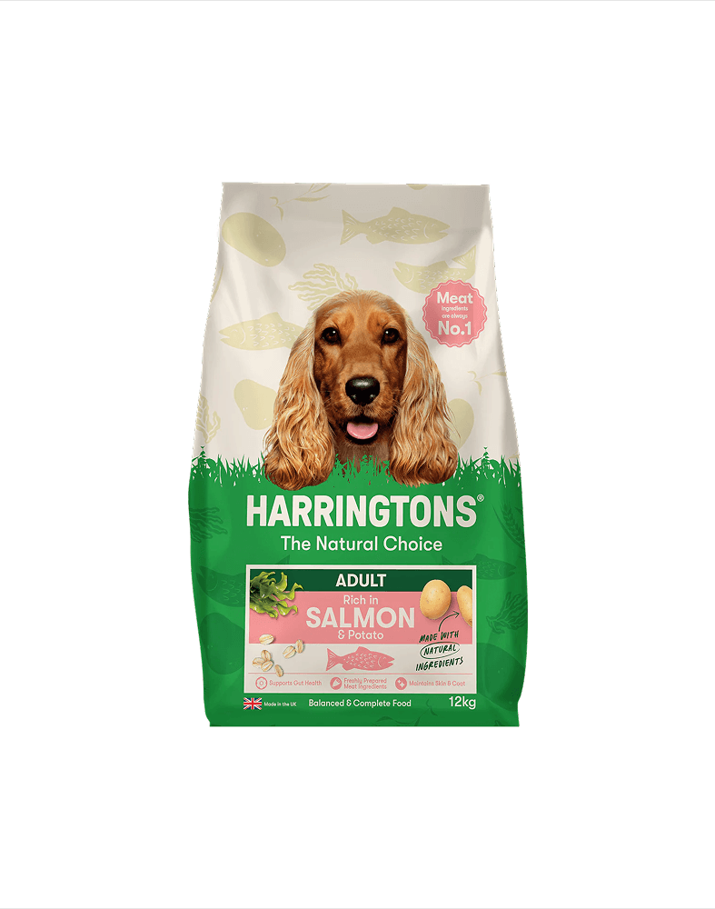 Dog Food Section