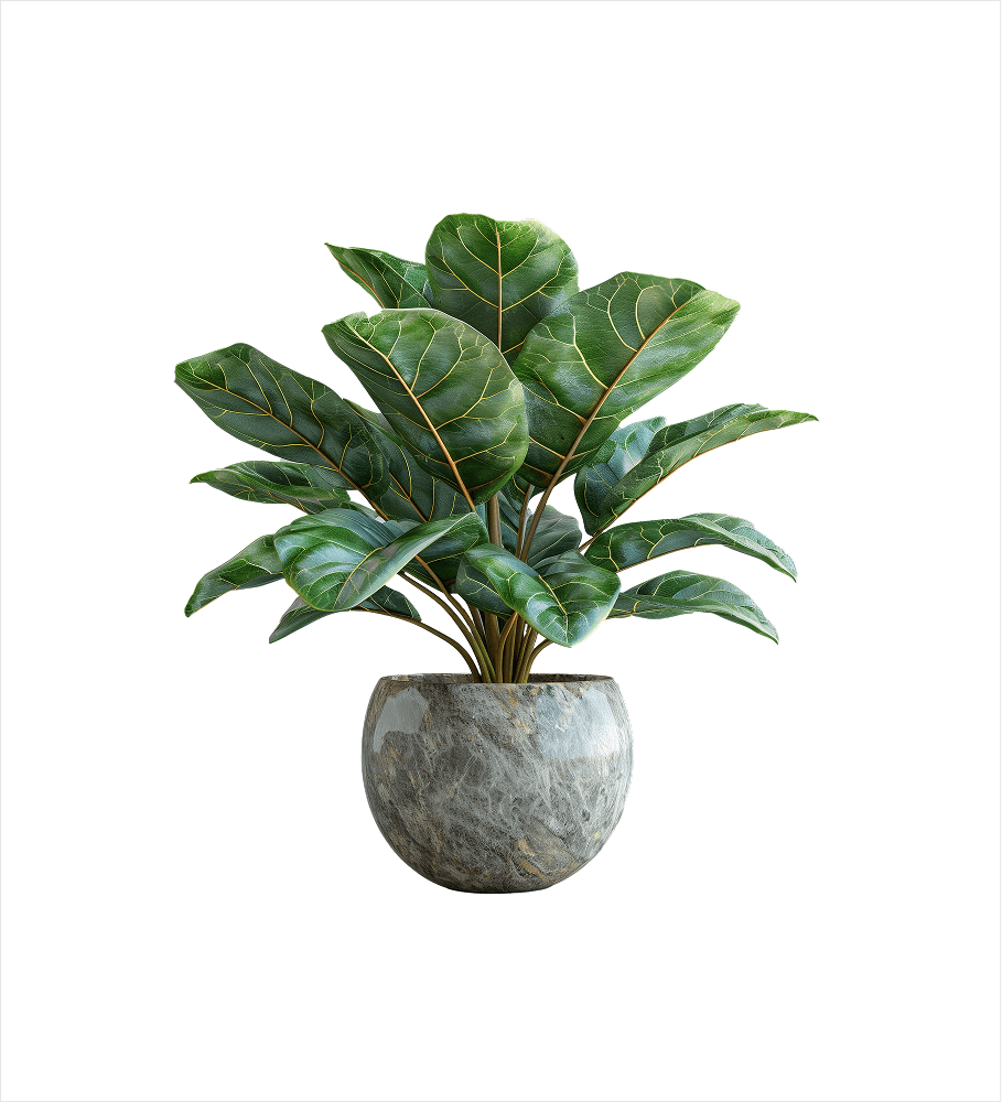 product-img-20
