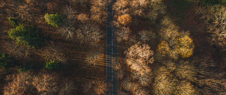 Award Ceremony by Film Critic Arthur Brown